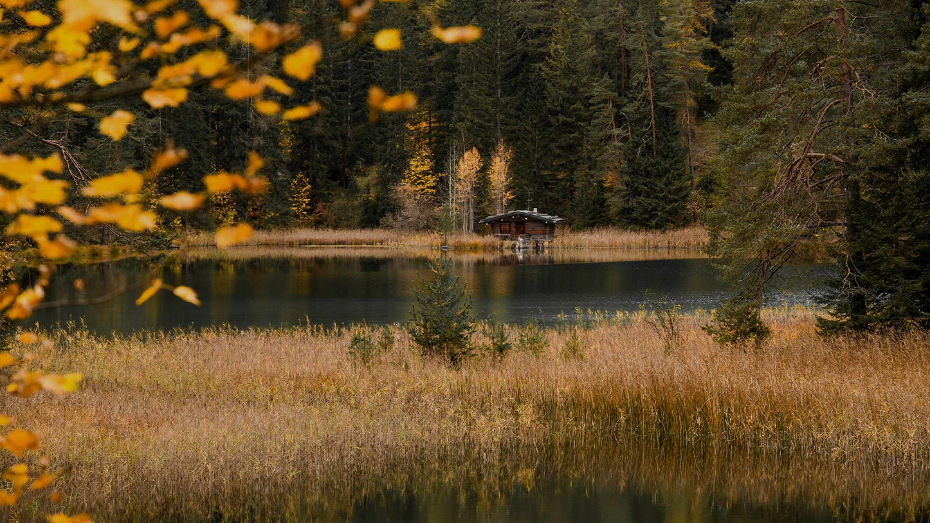 Lake Mittersee Autumn | Tiroler Zugspitz Arena/BiancaMcCarty A lake