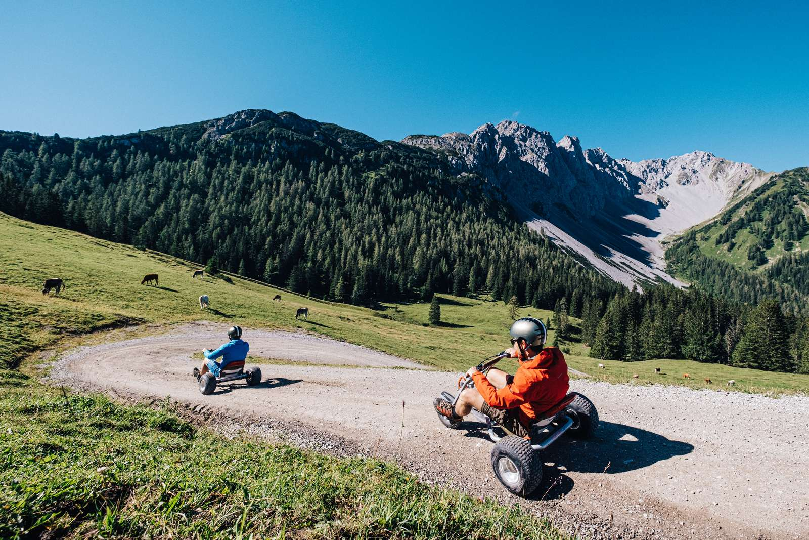 Two mountain cart drivers on the mountain cart track, behind them an alpine meadow with cows and a mountain panorama