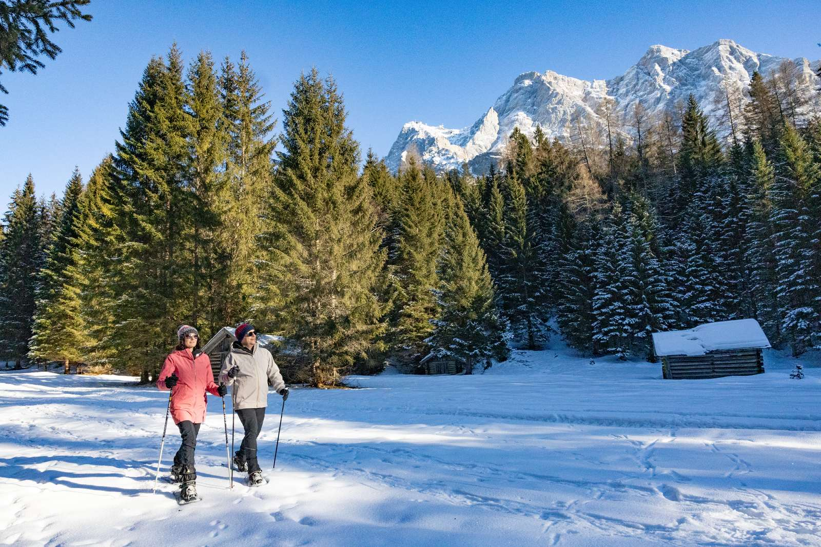 Two hikers